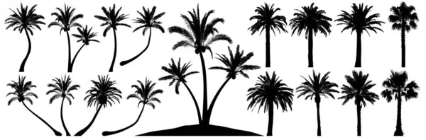 Silhouette di palme. Palma di noce di cocco. Set vettore alberi tropicali — Vettoriale Stock