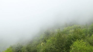 Dağlardan (geçen) beyaz bulutlar; şimdi onun üstünde yürümektedirler. Zaman aşımı. Beyaz bulutlar sise benziyor. Karadağ