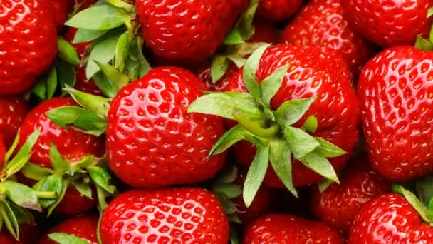 Frische schöne rote reife Erdbeeren, Rotation und Zeitlupe — Stockvideo