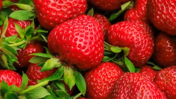 Beautiful red ripe strawberries, close-up — Stock Video