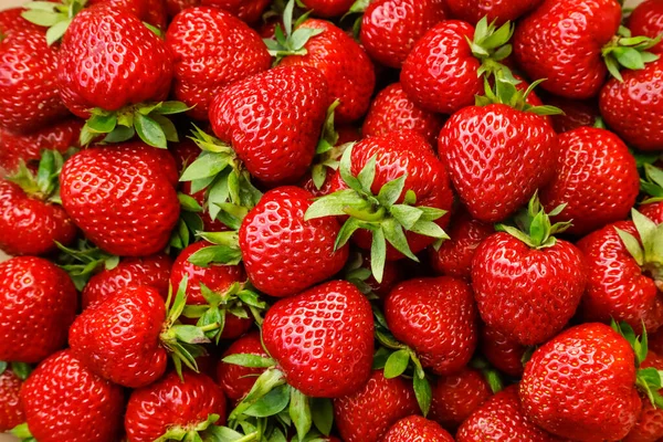 Frische Reife Erdbeeren Schöner Beerenhintergrund — Stockfoto