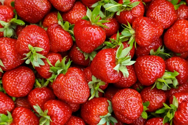 Hintergrund Roter Reifer Erdbeeren Nahaufnahme Draufsicht — Stockfoto