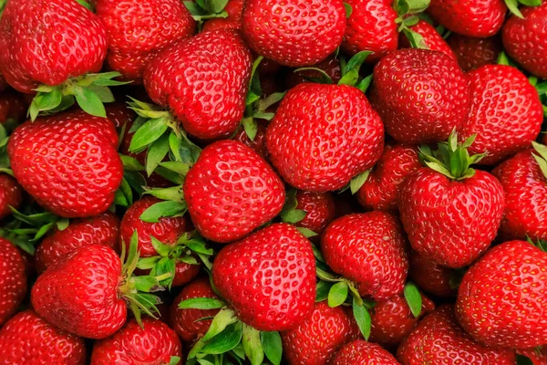 Schöne Rote Reife Erdbeeren Nahaufnahme Hintergrund — Stockfoto