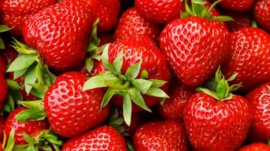 Güzel, olgun, kırmızı çilekler. Yakın çekim üst manzara, dönüyor..