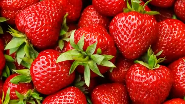 Beautiful ripe red strawberries close-up top view, turning. — Stock Video