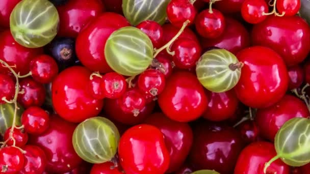 Berry Mix Draufsicht Hintergrund, Drehen. Rotation von frischen Süßkirschen, Stachelbeeren, roten und schwarzen Johannisbeeren, Nahaufnahme. — Stockvideo