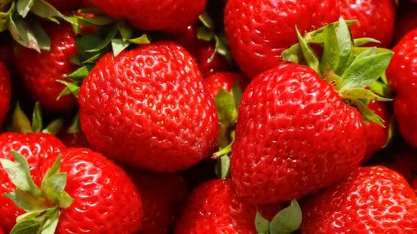 Strawberries top view, slow motion rotation. — Stock Video