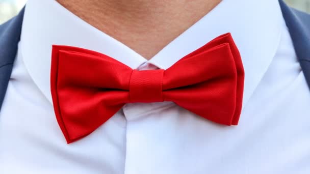 男の首の周りの白いシャツに赤い蝶ネクタイ、クローズアップ。男性のためのエレガントなアクセサリー. — ストック動画