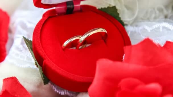 Свадебные кольца в красной коробке крупным планом, замедленная съемка — стоковое видео