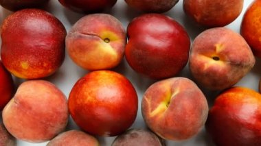 Şeftali ve nektarin meyveleri yakın çekim, üst manzara. Döndürme