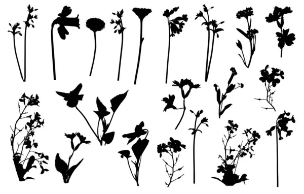 Silhouetten Van Verschillende Bloemen Narcis Madeliefje Etc Verschillende Wilde Planten — Stockvector