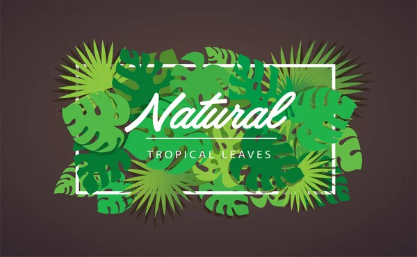 Tropical Leafs Template Background Vector Illustration Eps10 — Stock Vector