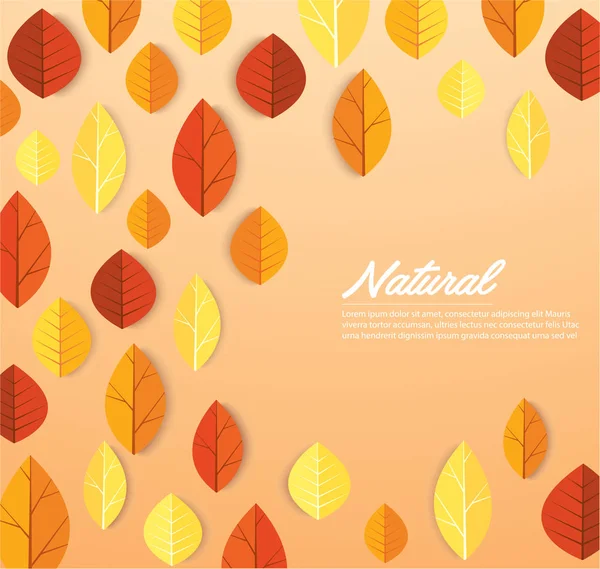 Autumn Leaves Background Vector Illustration Eps10 — Stock Vector