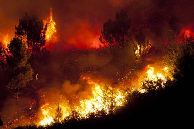 Orman büyük yangın evlere çok yakın, Povoa de Lanhoso, Portekiz.