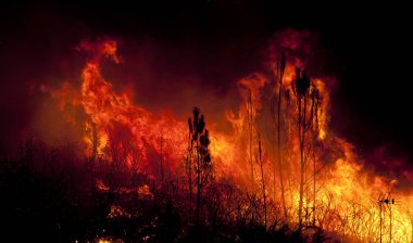 Orman büyük yangın evlere çok yakın, Povoa de Lanhoso, Portekiz.