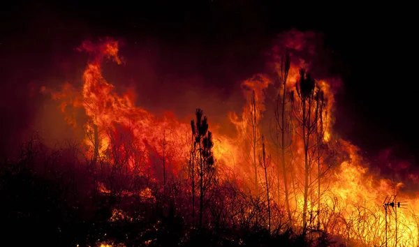 森林大火非常接近房屋 波沃亚德兰霍索 葡萄牙 — 图库照片