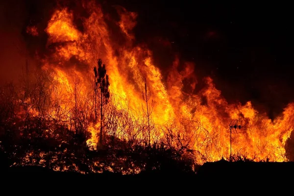 Orman Büyük Yangın Evlere Çok Yakın Povoa Lanhoso Portekiz — Stok fotoğraf