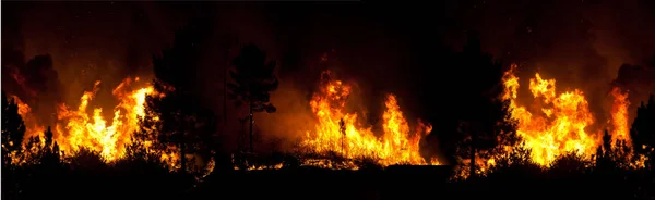 Forest Big Fire Nagyon Közel Házak Povoa Lanhoso Portugália — Stock Fotó