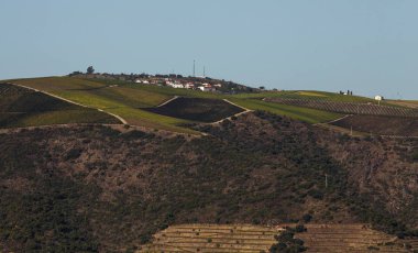 Unesco Dünya Mirası, Douro Vadisi Üzüm Bağları, Sao Joao da Pesqueira, Viseu, Portekiz.