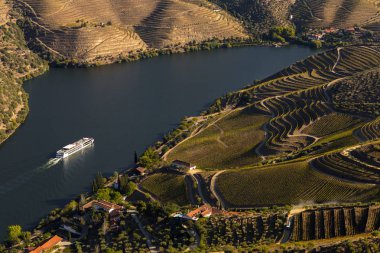 Unesco Dünya Mirası, Douro Nehri 'nde bir gemi, Sao Joao da Pesqueira' da Vineyards Vadisi, Viseu, Portekiz.