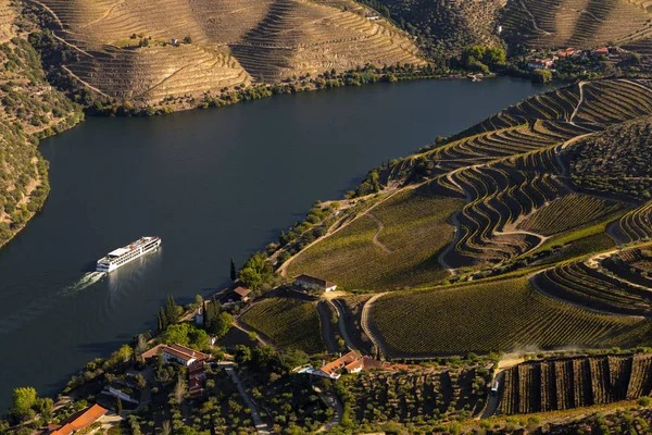 Unesco World Heritage Een Cruise Douro River Vineyards Valley Sao — Stockfoto