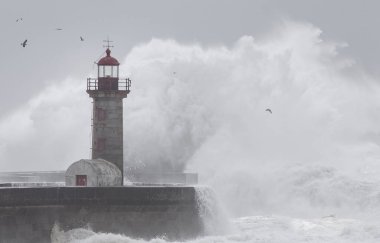 Portekiz, Oporto 'daki Felgueiras Deniz Feneri' nde 10 Metre Büyük Dalgalar.