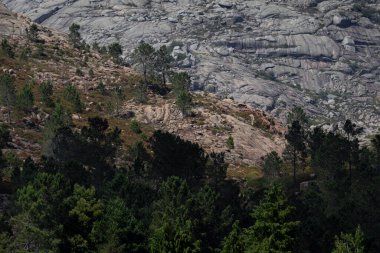  Dağların tepesinde, İber Kurdu 'nun ülkesi, Geres Ulusal Parkı, Minho, Portekiz.