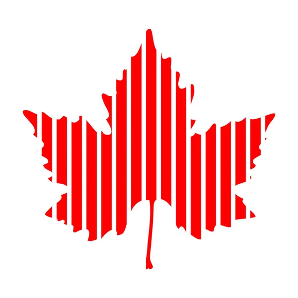 Kırmızı Akçaağaç Yaprağı - Çizgili