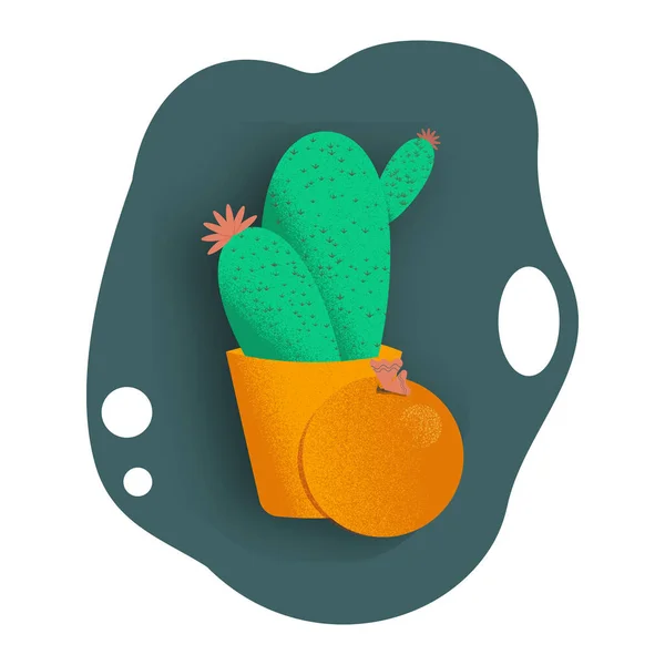 Tencerede çiçek açan kaktüs. Bir ışık gölgesini fırlatıp atıyor. Beyazda izole edilmiş.