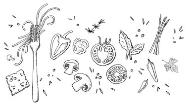 Çatal, İtalyan makarna ve sebzeler kroki tarzı ile vektör çizim