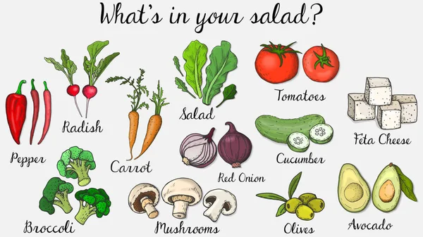 Wektor ilustracja Sałatka Menu szablon tablica style: Sałatka, marchew, rzodkiewka, brokuły, pomidory, ogórek, pieprz, cebula, pieczarki, ser Feta, oliwki, awokado — Wektor stockowy