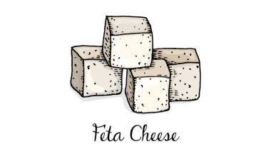 Beyaz peynir kroki tarzı vektör çizim