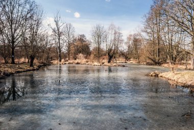 Slanaky Nehri göl kenarında Oder Nehri ve Chko Poodri Çek Cumhuriyeti Studenka şehir etrafında ağaçlar ve mavi gökyüzü bulutlu