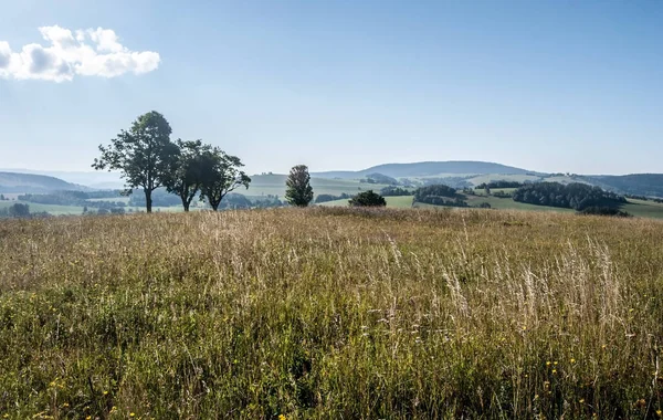 Çek Cumhuriyeti Kraliky şehir yakınında Moravian-Bohemian sınırında güzel yaz sabahı sırasında birkaç bulutlar ile çayır, ağaçlar, tepeler ve mavi gökyüzü ile güzel manzara manzara