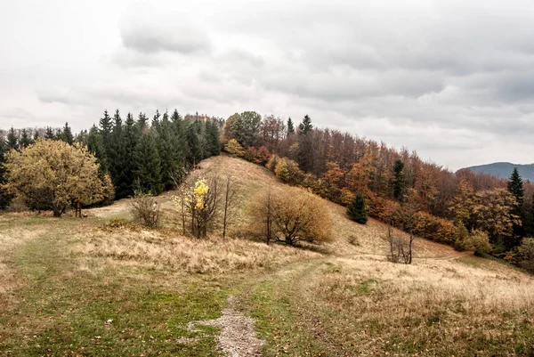 Outono Moravskoslezske Beskydy Montanhas Sedlo Pod Malou Kykulou República Checa — Fotografia de Stock