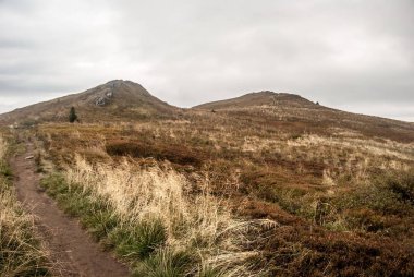 Rozsypaniec ve Halicz hills dağ çayır ve sonbahar Bieszczady Dağlar Polonya Ukrayna ile sınırları yakınındaki kayalarda ile