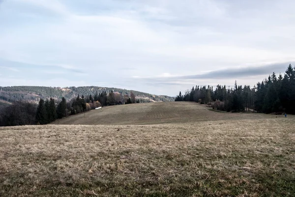 Hügel Bedeckt Von Bergwiesen Mit Bäumen Ringsum Und Andere Hügel — Stockfoto