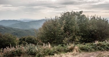 vahşi Bukovske vrchy dağlar Kruhliak Hill Slovakça üzerinde-derin orman kapsadığı hills ile Polonya sınırları bulutlu sonbahar gün boyunca