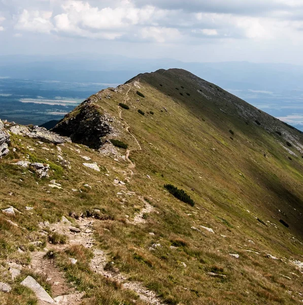 Maly Baranec Pico Montaña Cubierto Por Prado Montaña Zapadne Tatry — Foto de Stock