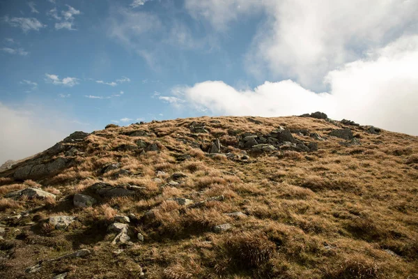 Skalka Hügel Bedeckt Mit Bergwiesen Mit Wenigen Kleinen Felsen Nizke — Stockfoto