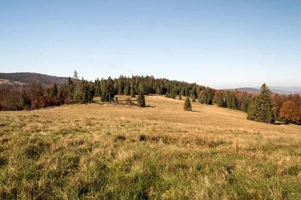 Hala Srubita Prado Montaña Con Árboles Alrededor Colinas Fondo Beskid —  Fotos de Stock