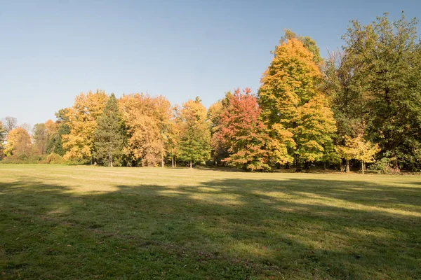 Herfst Landschap Met Weide Kleurrijke Bomen Heldere Hemel Park Bozeny — Stockfoto
