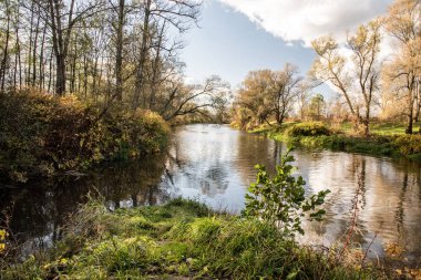 Nehir etrafında ağaçlar ve mavi gökyüzü bulutlu güzel sonbahar günü sırasında vergisel