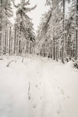 hiking trail kış manzarası kar ile kaplı ve donmuş ağaçlar Velky Polom hill çek-Slovakça sınırlarındaki Moravskoslezske Beskydy dağlarda feryat