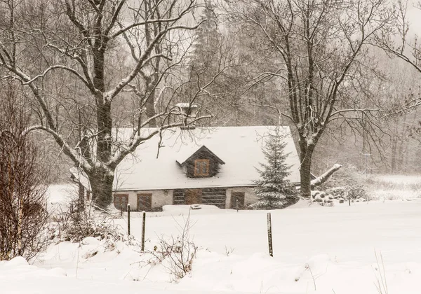 Paisaje Invierno Con Casa Aislada Árboles Nieve Durante Las Fuertes — Foto de Stock