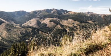 Dumbier ve Chopok dağların zirveleri ile Nizke Tatry dağlarının en yüksek bölüm Ohniste Hill Slovakya milli park orman ahşap hasat tarafından harap ile mavi gökyüzü ile güzel sonbahar gün boyunca görüntülemek için