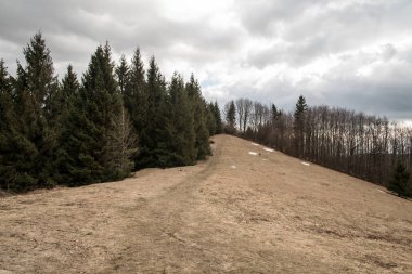 Çek Cumhuriyeti'nde erken ilkbahar Moravskoslezske Beskydy dağlarda Sedlo pod Malou Kykulou körük Kozubova tepe