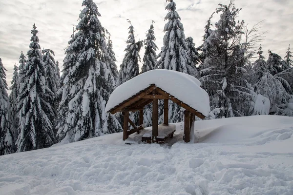 Paisaje de invierno con refugio, nieve y abetos - Girova colina cumbre cerca de Mosty u Jablunkova en la República Checa — Foto de Stock