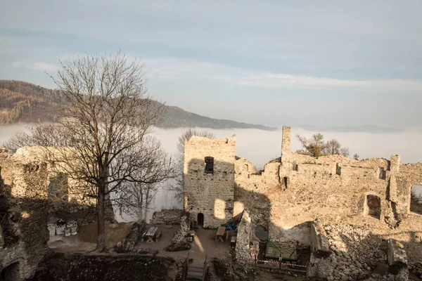 Arka planda ağaç snd tepe ile Slovakya'da Povazsky hrad kale kalıntıları — Stok fotoğraf