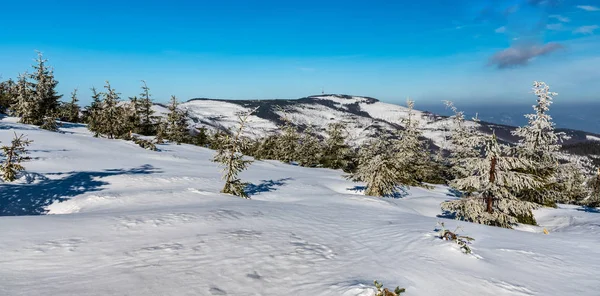 겨울 동안 폴란드에서 겨울 베스키드 슬라스키 산맥의 스크르지츠네 언덕 — 스톡 사진